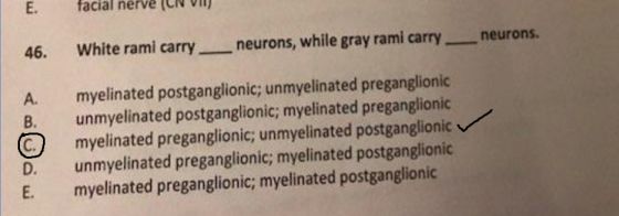 E. facial nerve White rami carry-_ neurons, while gray rami carry-_ neurons. myelinated postganglionic; unmyelinated pregangl