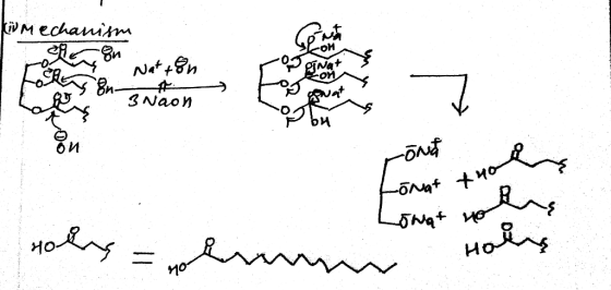 KwMechanism cen Z Nat+8n : ognat 3 Naon rond Lonat tuo Но ? Lonat not Holly mm