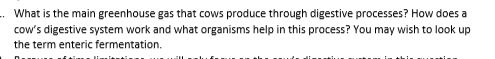 . What is the main greenhouse gas that cows produce through digestive processes? How does a cows digestive system work and w