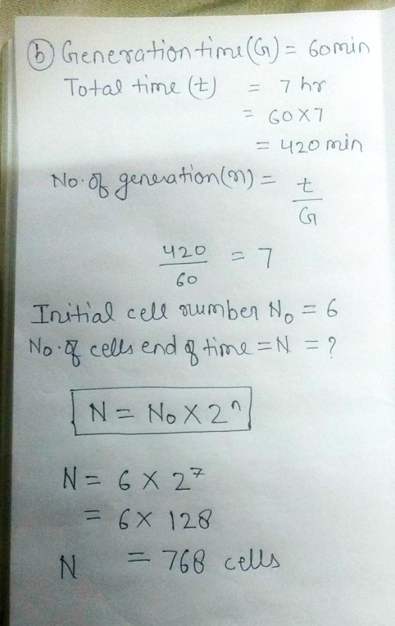 ⓑGenerationtįmu(6)= 60min No.ggennafion(M)ニナ tlo -t Initial cell饥umber No-6 No cella end ghine = N =? =6x 12.8