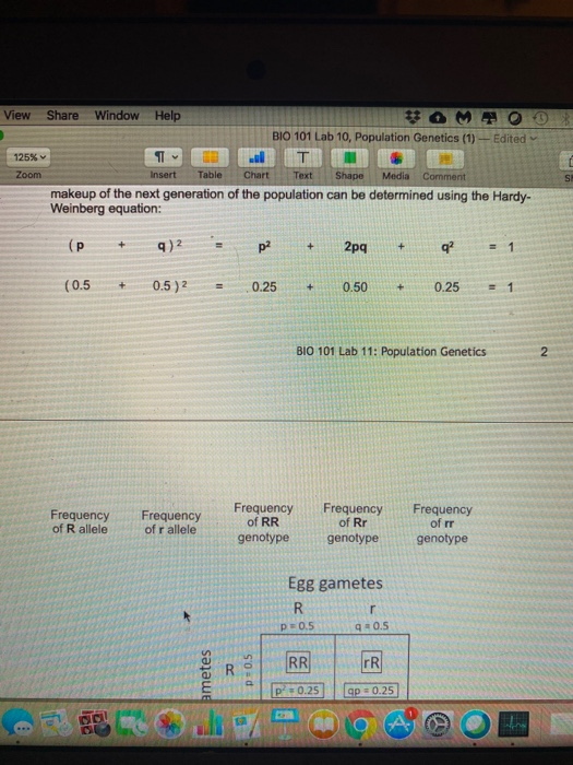 View 125% Zoom Share Window Help BIO 101 Lab 10, Population Genetics (1) -- Edited 1 T Insert Table Chart Text Shape Media Co