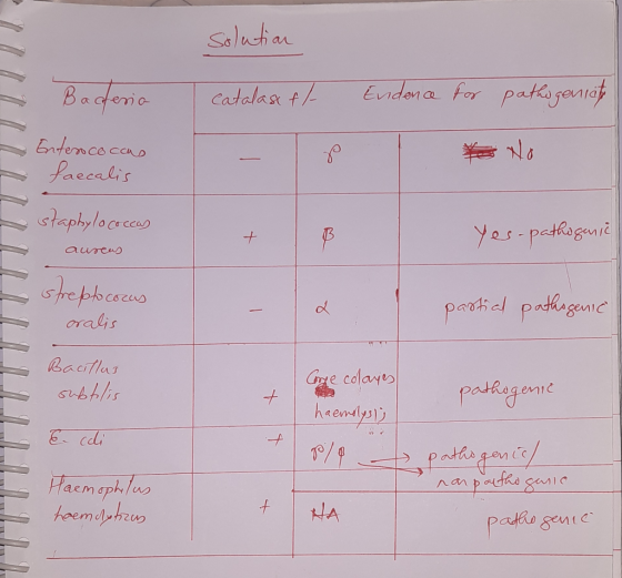Solution Bacteria catalast fl- Endence for pathogeniato Enterococas faecalis ਡ ਐ - a staphylococcus . aureus + B Yes-pathogen
