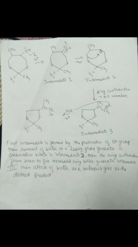 -H 1 Intermediate Intermediate 2 Ring contraction J7 to 5 member CH3 chache too o Intermediate 3 First intermediate is formed