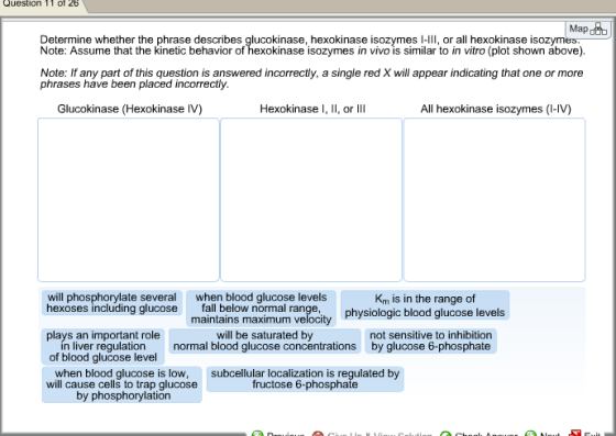 Determine whether the phrase describes glucokinase
