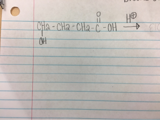 Cha-Cha-Cha-Š-OH Hoy