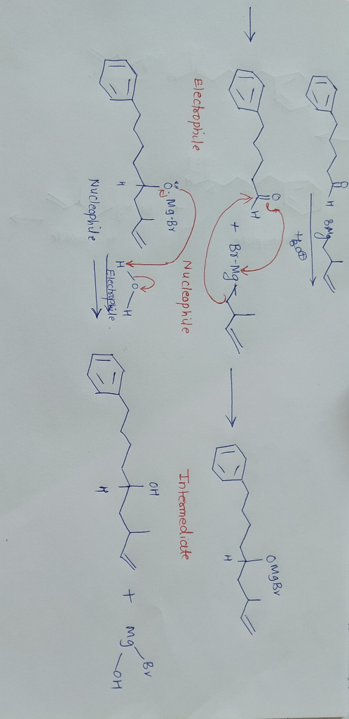 BMa OMgBv H Br-Mg electoophule Nucleophile Tnteamediate Mg-By OH Bv H + Mg Elechyple Nucleaphile H