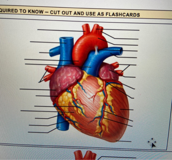 UIRED TO KNOW - CUT OUT AND USE AS FLASHCARDS