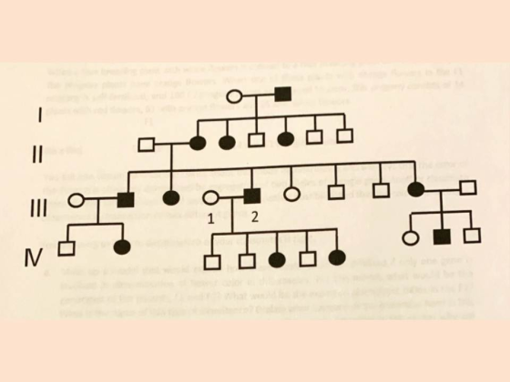 ??? 2 口口口 - = = 2