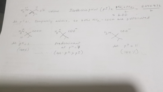 2 valine Iso electric point (pI) = oka, +Pkaz 2. 2049.72 2 = 6,00 completely acidic, so both NH₂,- cooh are protonated pe=1 Н