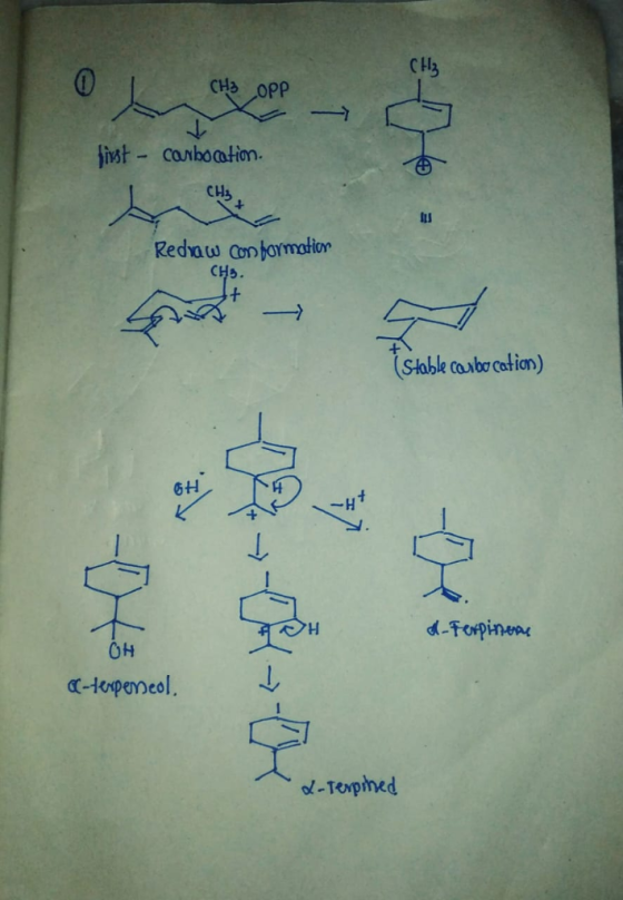 C H3 CH3 0PP CH3 Redvaw aon bormotion CHs Stable casbo cation) 6H он