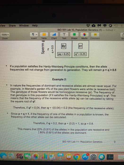 View Share Window Help Edited 125% BIO 101 Lab 10, Population Genetics (1) T Chart Text Shape Media Comment Zoom Insert Table