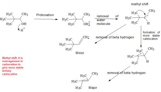 methyl shift H3C H3C CH3 H3C CH3 Protonation Нас CH removal of waterH: H3C Нас - H3C он H3C 0H2 molecule formation of more st