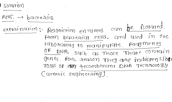 5012710n ANS, bacteria. tieron enzymes can be isoigted. Explaination on Restriction enzymes com o forom bacterial eelis, and