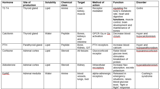 Hormone Site of production Thyroid gland Solubility Chemical Target class Amine Method of action Receptor mediated Function D