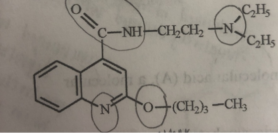 CH, C-NH-CH2CH2 +NJ CH T A ) biolosind YN YO+CH.); -CH;