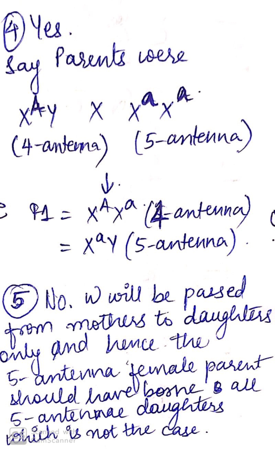 A Yes say Parents were Xay x taya (4-anterna) (5-antenna) e 21 = xĀya (-antenna) = x^ (s-aFee). 6 No. W will be passed from m