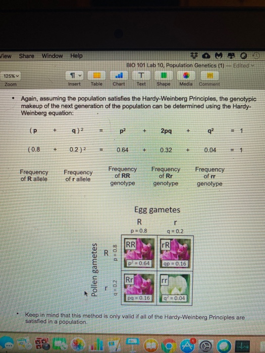 View Share Window Help * MAO BIO 101 Lab 10, Population Genetics (1) - Edited T Chart Text Shape Media Comment 125% Zoom 11 I