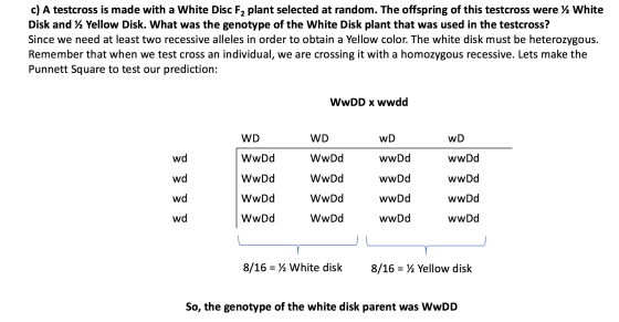 c) A testcross is made with a White Disc F2 plant selected at random. The offspring of this testcross were % White Disk and 2