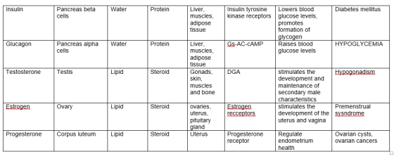 Liver muscles adipose tissue Insulin Pancreas beta cells Water Protein Insulin tyrosine Lowers blood kinase receptors |glucos