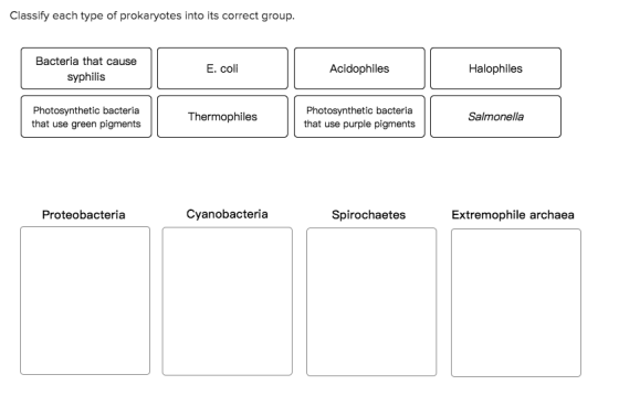 Classify each type of prokaryotes into its correct group. Bacteria that cause syphilis E. coli Acidophiles Halophiles Photosy