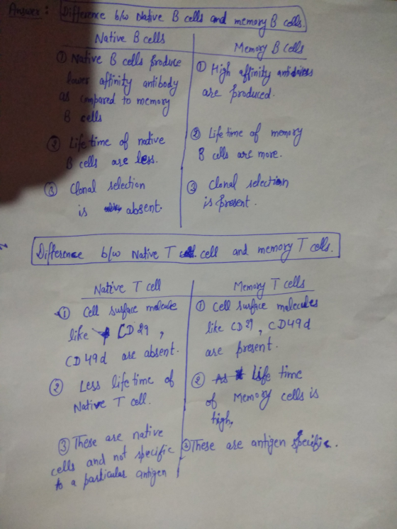 to a particular antigen Answer: Difference b/w Native B cells and Native B cells memory B cells Memory B cells O Native B cel