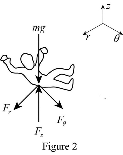 mg
F.
Figure 2