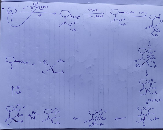 RT Arome снабH ACO Me NH3 I - HO COH He head I er H W C02H . HOC NH2 + HOV Ko0o 140 Hoo 40R | CF3CC, H WNL by H H2 N -U N- Z