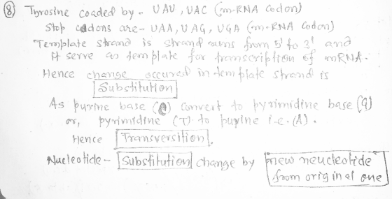 (8) Tyrosine coaded by - UAU , VAC (N-RNA Codon) . Stob Cadons are.. VAA, VAG, UGA C RNA Codon) Template strand is strand sun
