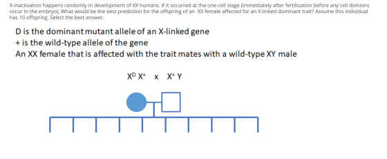 X-inactivation happens randomly in development of XX humans. If it occurred at the one-cell stage (immediately after fertiliz