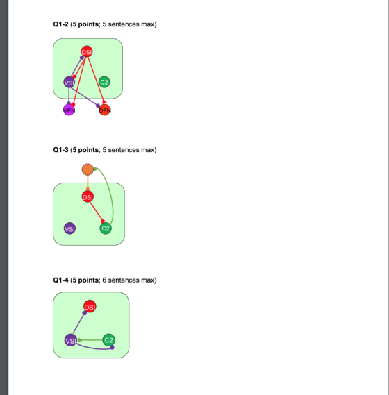 Q1-2 (5 points; 5 sentences max) Q1-3 (5 points; 5 sentences max) Q1-4 (5 points; 6 sentences max) VSI
