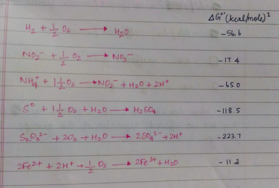 AG (kcal/mole) I - 56.6 -17.4 H₂ + 2 2 02 H2O NO2 + 1 2 + NO3- NH + 150, +NO + H2O + 2H+ So + 1 O2 + H2O H₂804 - 65.0 -118.5
