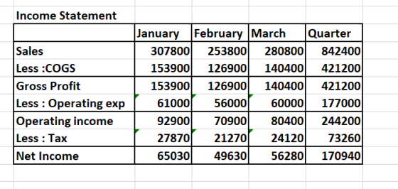 Income Statement Sales Less :COGS Gross Profit Less : Operating exp Operating income Less : Tax Net Income January February M