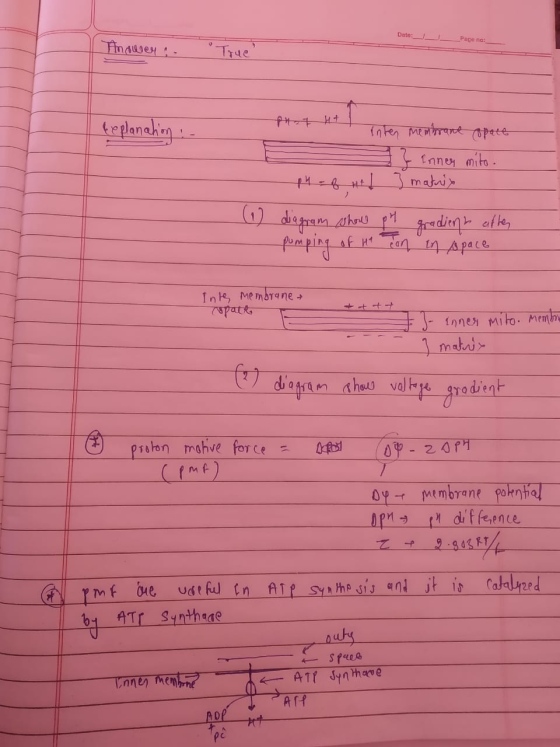 Date: _Page no: Hinduer True teplanation inten membrane space } Innen mito. h = of Htl 3 matrix (1) diagram whore pH pumping