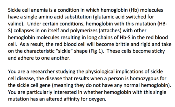 Sickle cell anemia is a condition in which hemoglobin (Hb) molecules have a single amino acid substitution (glutamic acid switched for valine). Under certain conditions, hemoglobin with this mutation (HB- S) collapses in on itself and polymerizes (attaches) with other hemoglobin molecules resulting in long chains of Hb-S in the red blood cell. As a result, the red blood cell will become brittle and rigid and take on the characteristic sickle shape (Fig 1). These cells become sticky and adhere to one another. You are a researcher studying the physiological implications of sickle cell disease, the disease that results when a person is homozygous for the sickle cell gene (meaning they do not have any normal hemoglobin) You are particularly interested in whether hemoglobin with this single mutation has an altered affinity for oxygen.