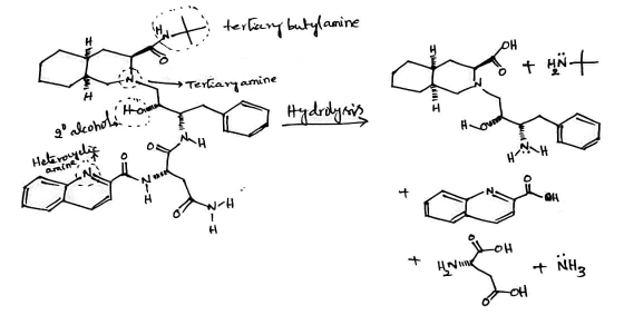 t tertiary butylamine PH + wit * Tertiary amine H Hom Hydrolysis galcoholi Heteroylig mo o + OH 1 H OH HVILK NH OH