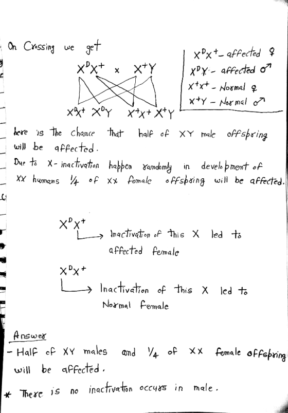 VE - On Crossing we get 1 xPxt-affected a Xx* xX+Y xDx - affected of x+x+ - Normal q [x+y - Normal or x + xoy Y+x+x+y? here i