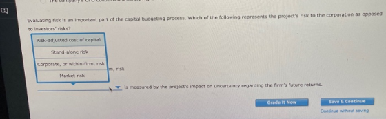 Evaluating risk is an important part of the capital budgeting process. Which of the following represents the projects risk t