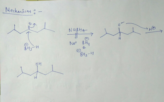 Mechanism o- NaBHA ANT Nat Buy BH₂-H