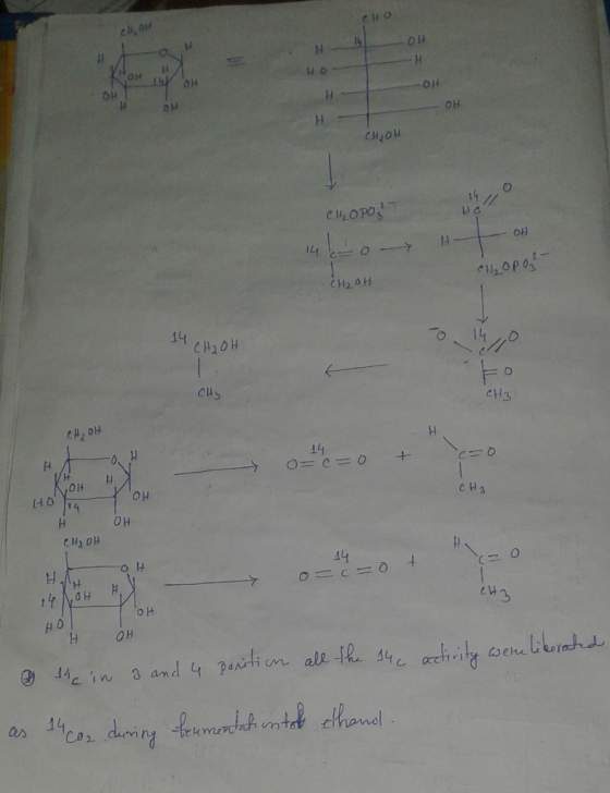 H, OH ено DH 04 OH CH2o H 14 CH2OH CH 14 011 он O H ey H oH an 14cn.doing 유pemunham te! tfhawol