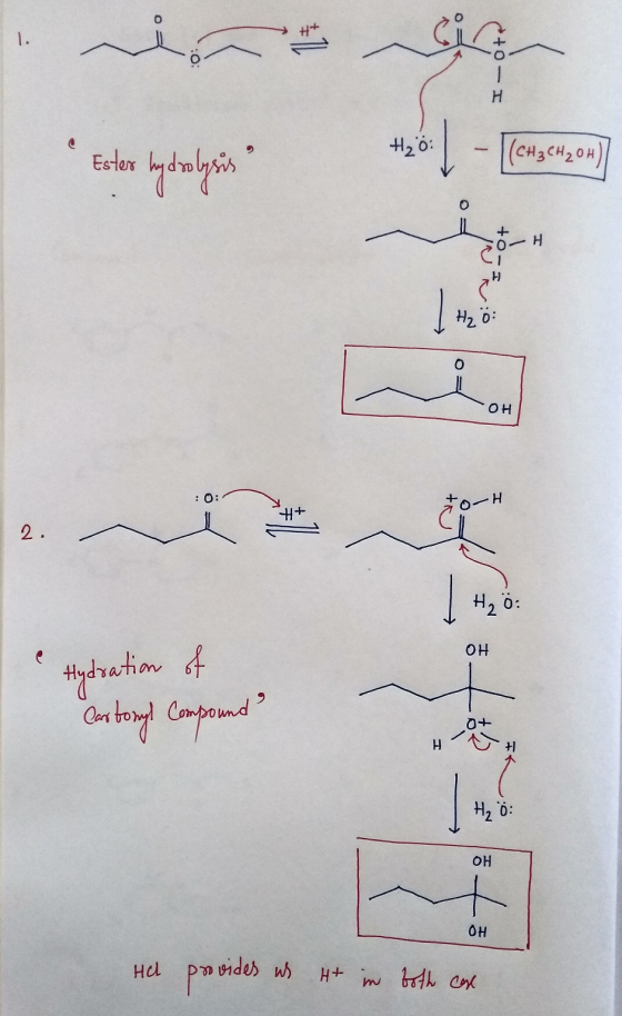 o + | 0 - I Ester hydrolysis + 0 - OH ~ 0 . H, 0: H e Hydration of Cartoryl Compound? H OH H : 애 H He provides us Ht in both