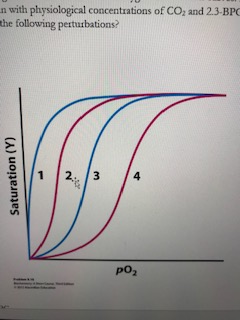 n with physiological concentrations of CO, and 2.3-BPC the following perturbations? Saturation (Y) ро,