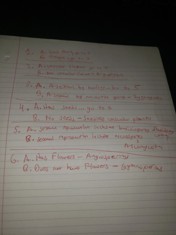 1. A. Land Plant go to 2 B. Fungus go to 3 2. A. vascular tosuo yo to y B. Non vascular tus we- Bryophyte 3. A. Asexual by bu