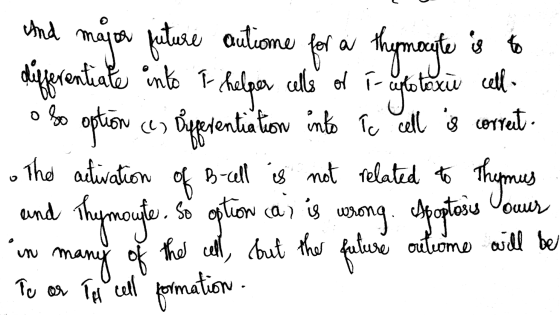 And moute is to maja future autiome differentiate into I helger alls of i ulotoxic cell- for a thymoute oso option (as Offere