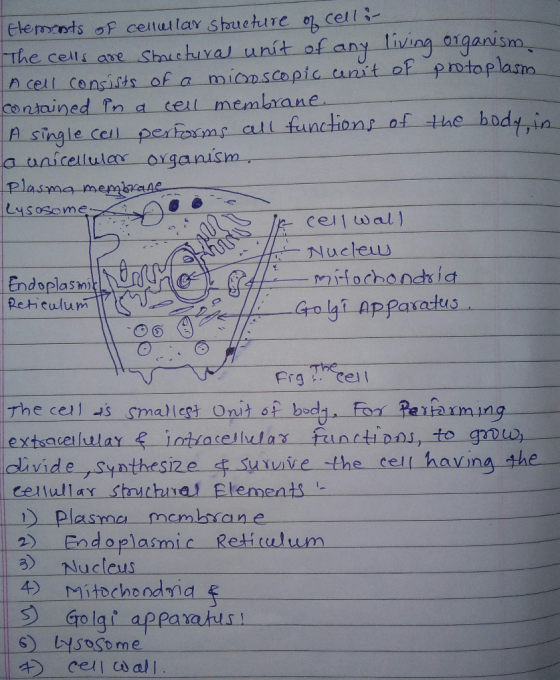 Elements of cellullar structure of celle- The cells are shuctural unit of any living organism. protoplasno A cell consists of