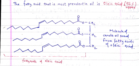 The fatty acid that is most prevalentin oil is Olere quid (56 1-7 approx mo Molecule of canola oil sood from fatty acids of o