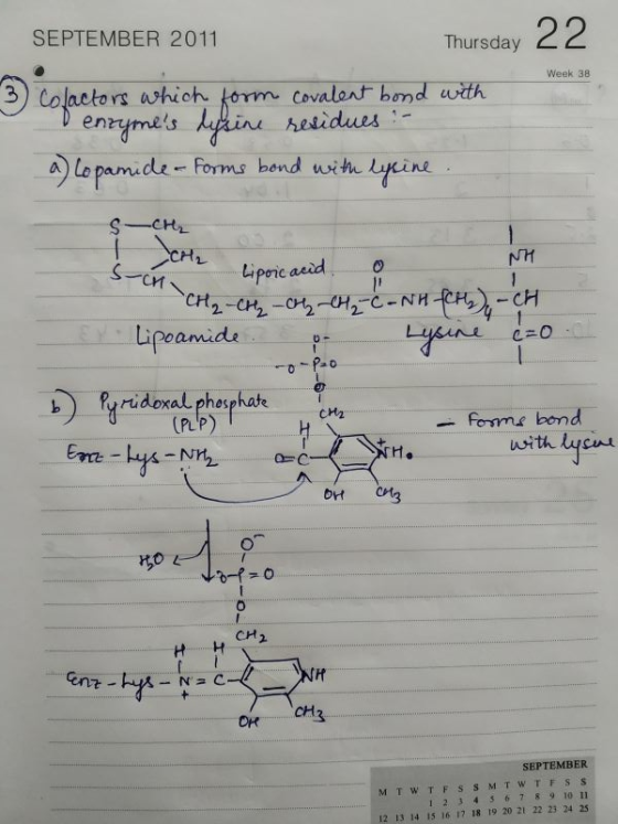 Thursday Week 38 3 Colactors which form covalent bond with Denzymes lysine residues : - a) topamide - Forms bond with lysine