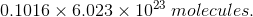 0.1016 X 6.023 x 1023 molecules.