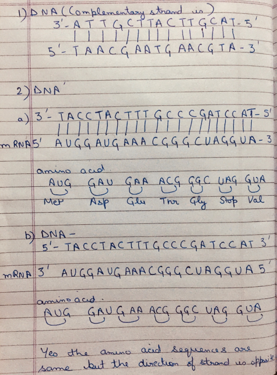 1) DNA (Complementary strand is) 3-ATTGCYTACTTGCAT-5. 5. TAAC, AAT, AA (GTA - 3 2)DNA al 3-TACCTACTIT GCC CGATCCAT-S mRNAS