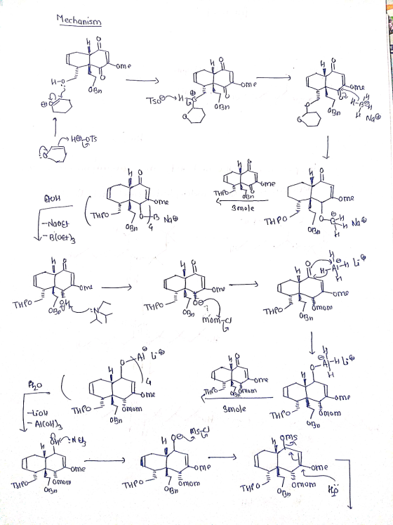 Mechanism Hů ome Nome TservИ. GoSrome 03n 030 H-B9 i Nag Hoots THPORT HOHI ome Olo smole THEO - Yo/B Nag OBn 4 T THPO -Nadet