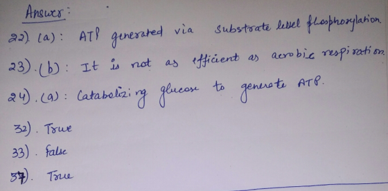 Answer: 22) (a): ATP generated via substrate lebel flosphorylation. 23.16): It is not as efficient as aerobic respiration. 24
